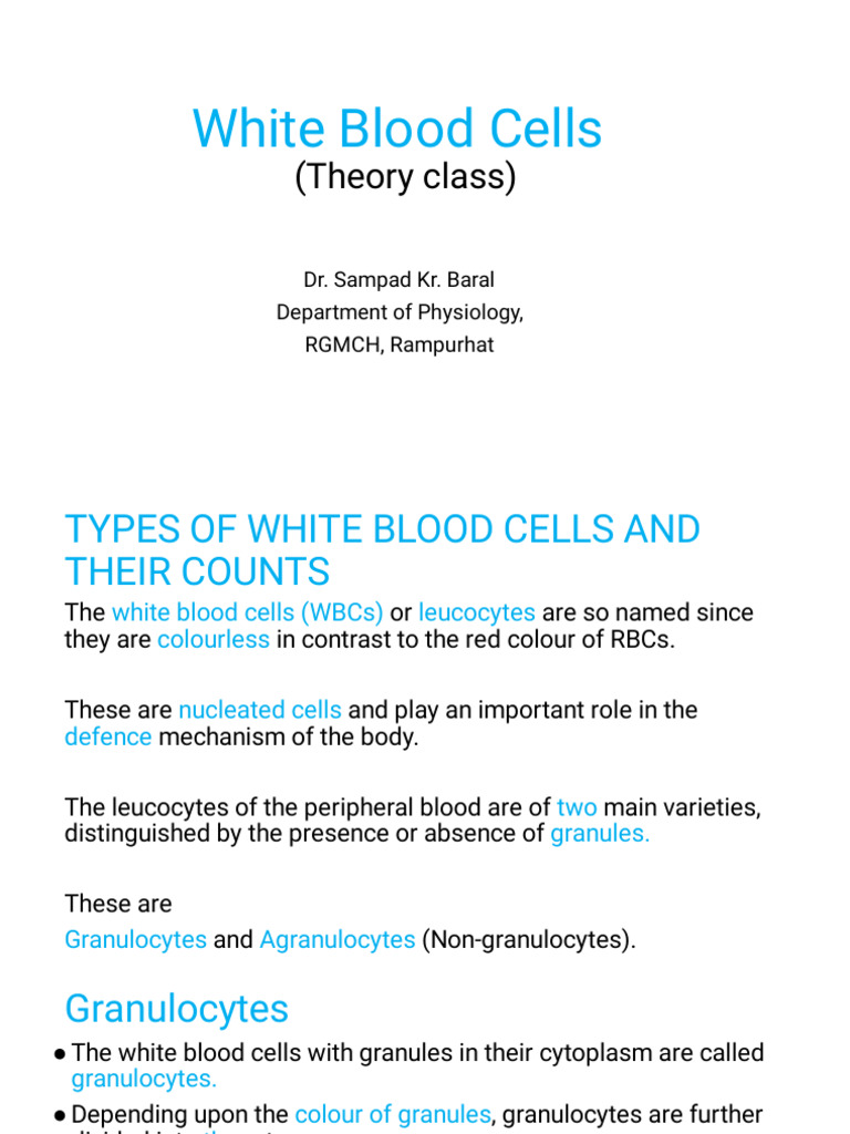 White Blood Cells | PDF | White Blood Cell | Lymphocyte