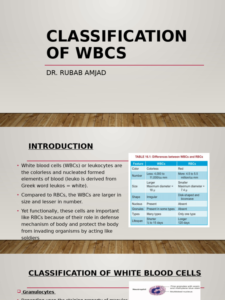 Classification and Functions of WBCs | PDF | Immune System | Lymphocyte