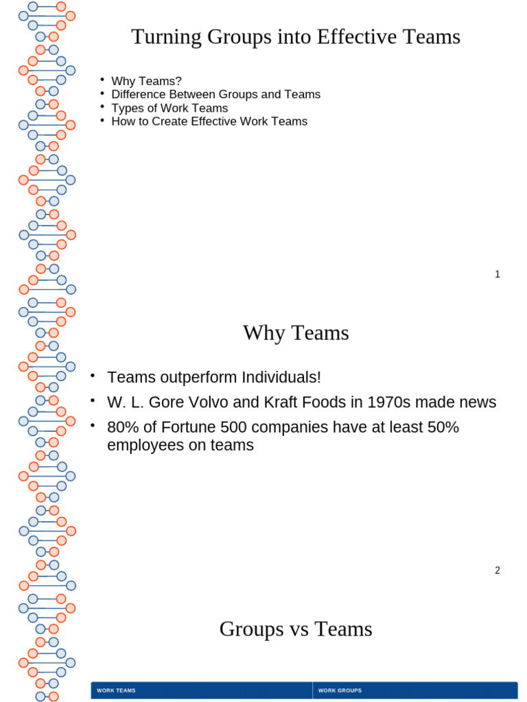 Turning Groups Into Effective Team | PDF