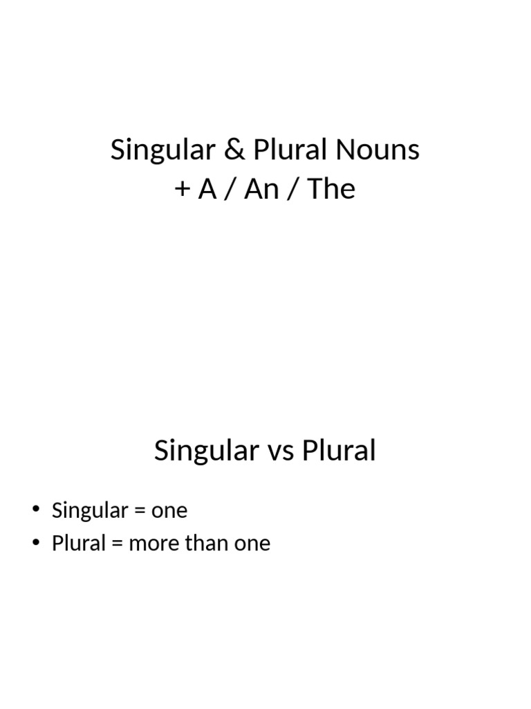 Singular and Plural Nouns Guide | PDF