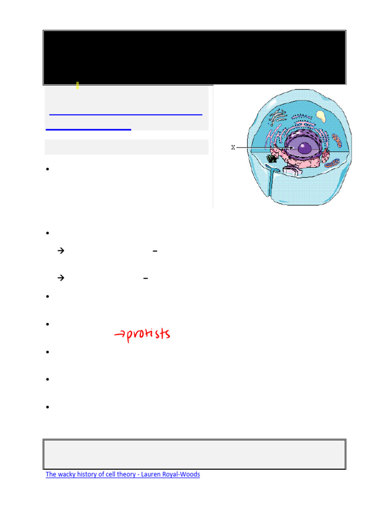 Cell Structure and Function Overview | PDF | Endoplasmic Reticulum ...