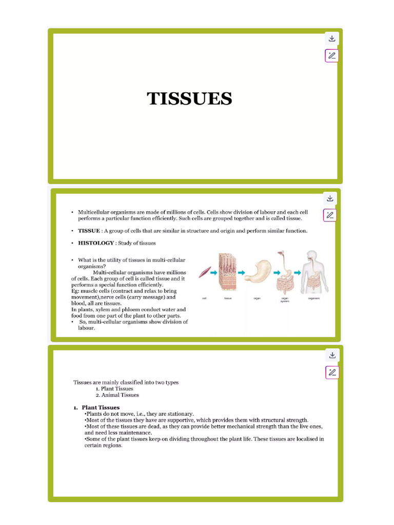 Tissues | PDF
