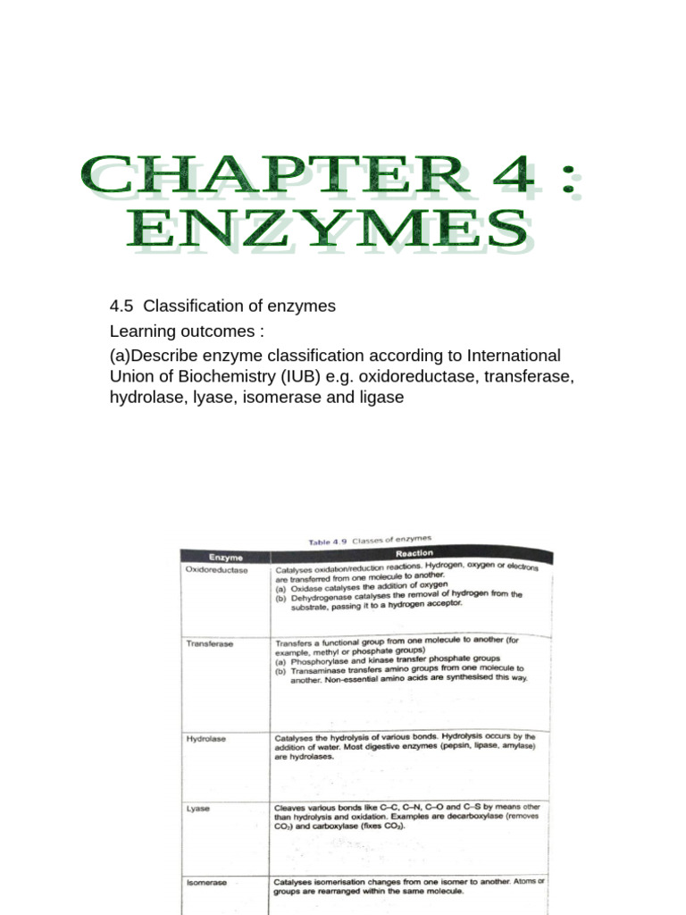 Chapter 4.5 ~ Classification of Enzymes | PDF