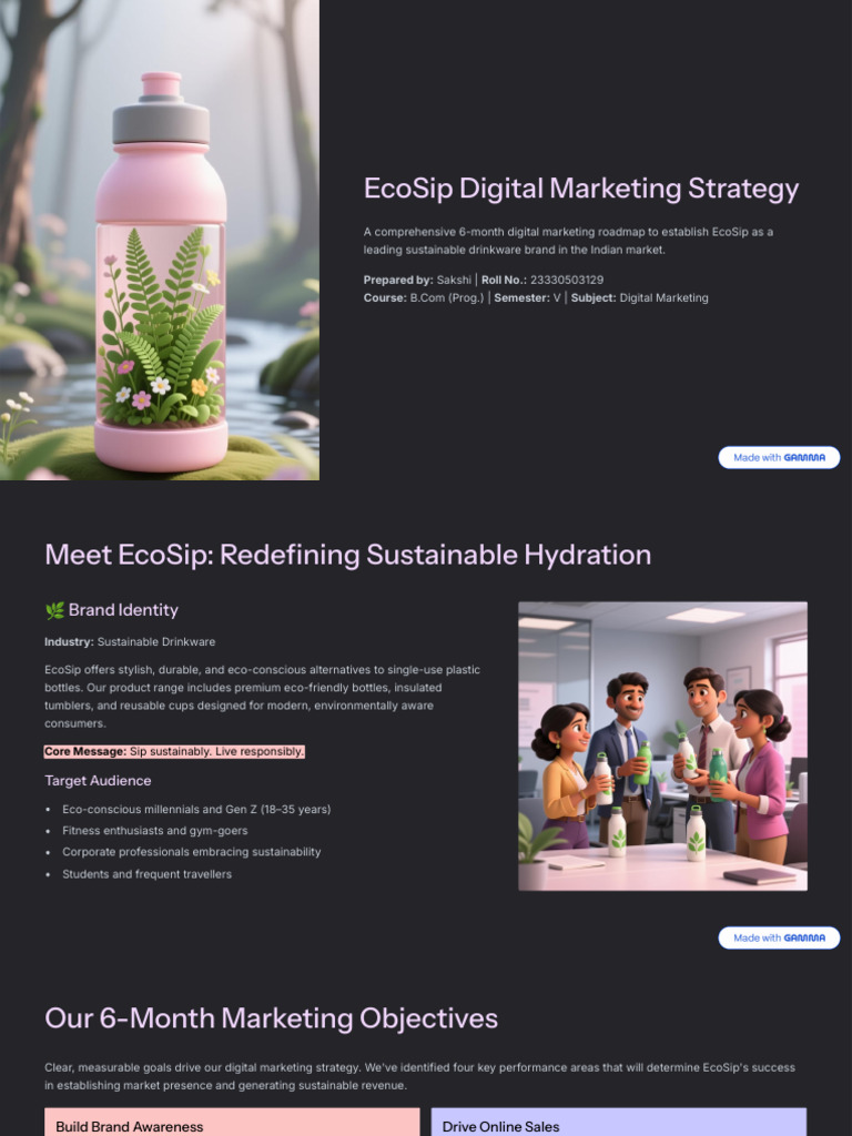 EcoSip 6-Month Marketing Plan | PDF | Digital Marketing | Brand