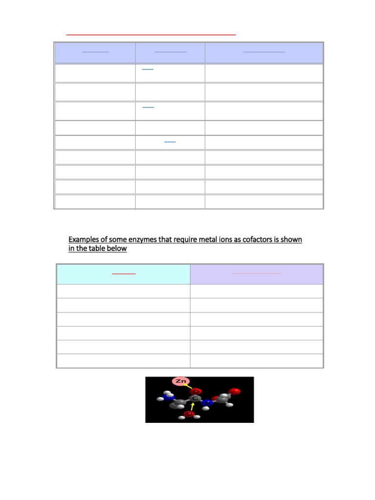 Overview of Coenzymes and Enzyme Action | PDF | Cofactor (Biochemistry ...