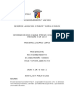 Informe de Laboratorio de Suelos - Determinacion de Densidad Relativa, Densidad Real y Porosidad de Un Suelo