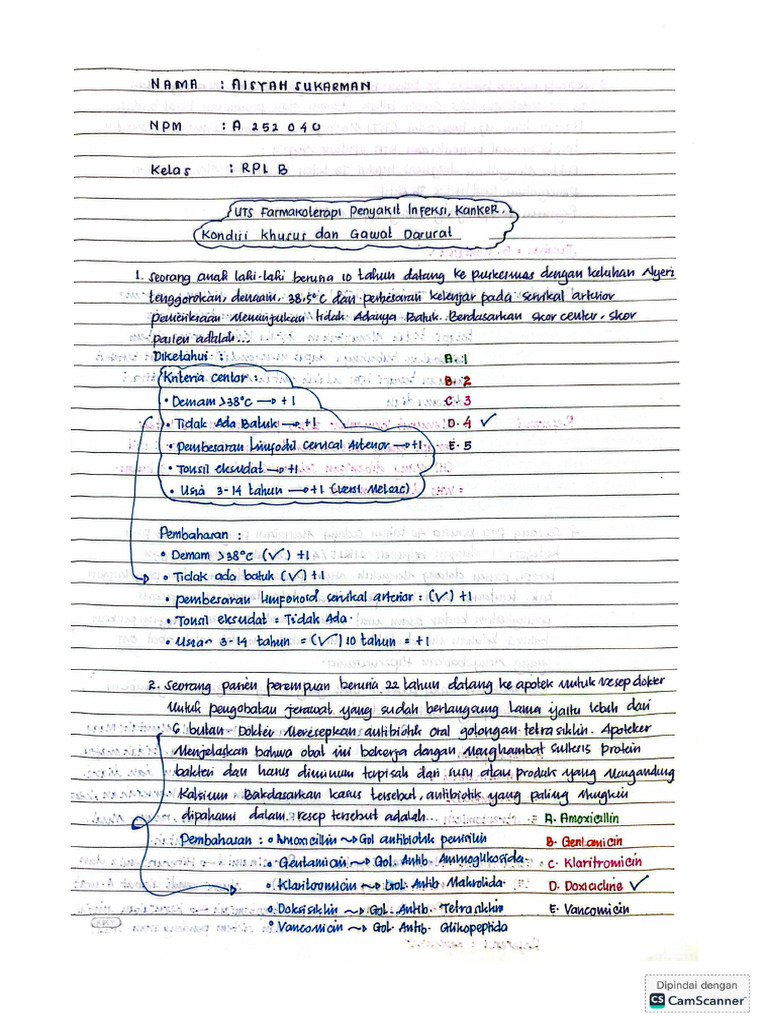 A 252 040-Aisyah Sukarman-RPL B | PDF