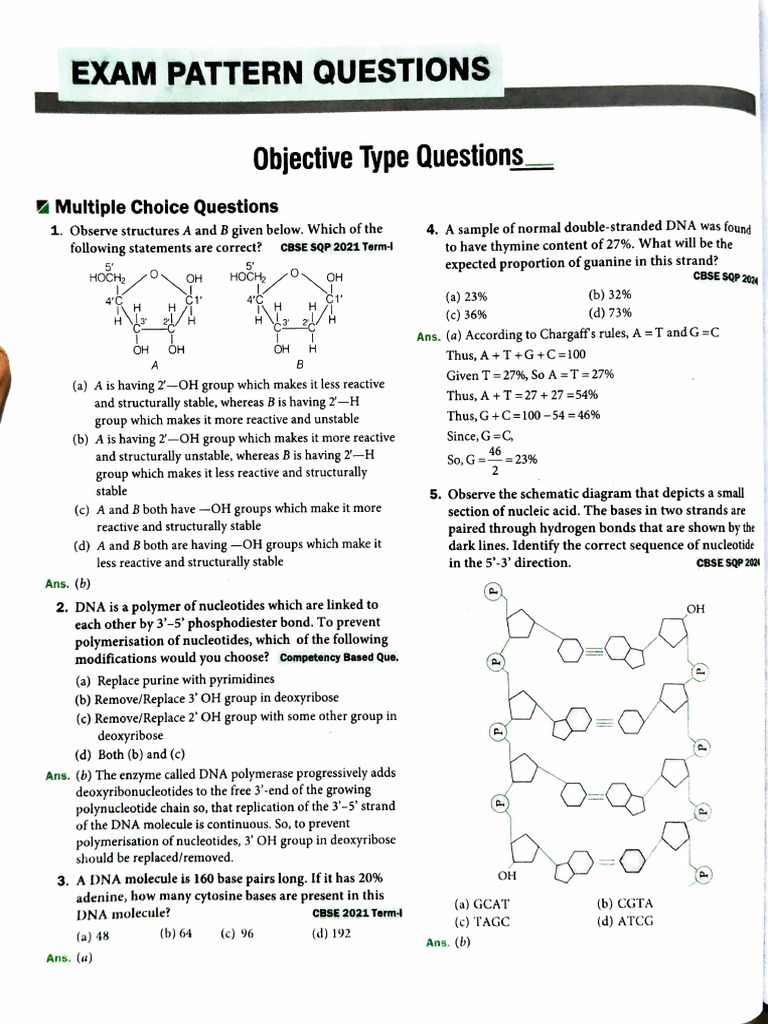CBSE Exam Pattern: DNA & RNA Questions | PDF | Translation (Biology ...