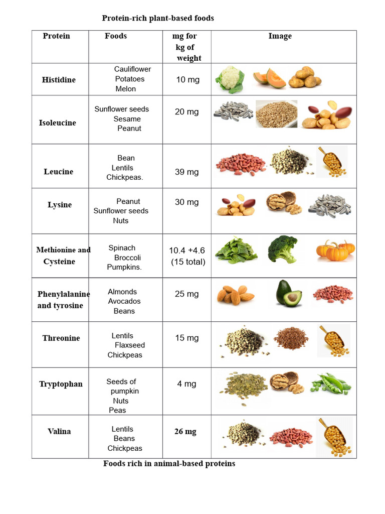 Foods Rich in Protein from Plant and Animal Sources | PDF