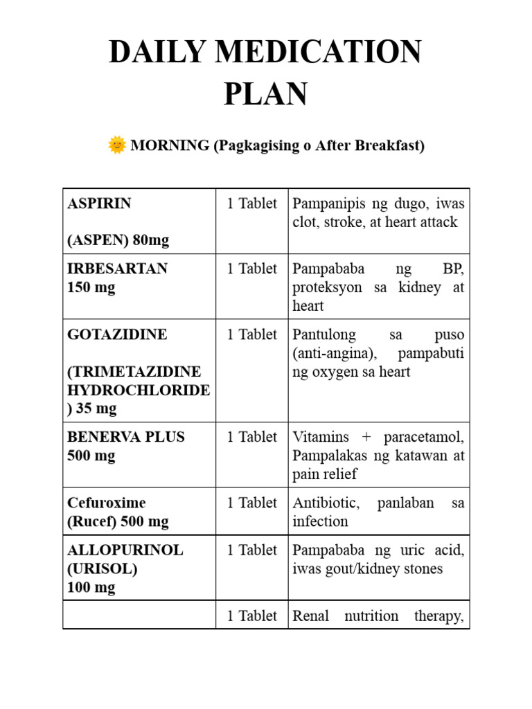 Daily Medication Plan for Health Management | PDF
