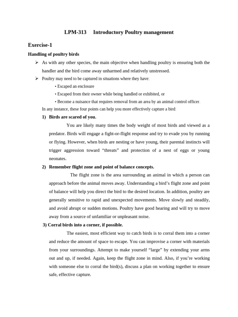 Poultry Handling and Breed Identification Guide | PDF | Birds | Chicken