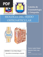 TRABAJO Biologia Osea