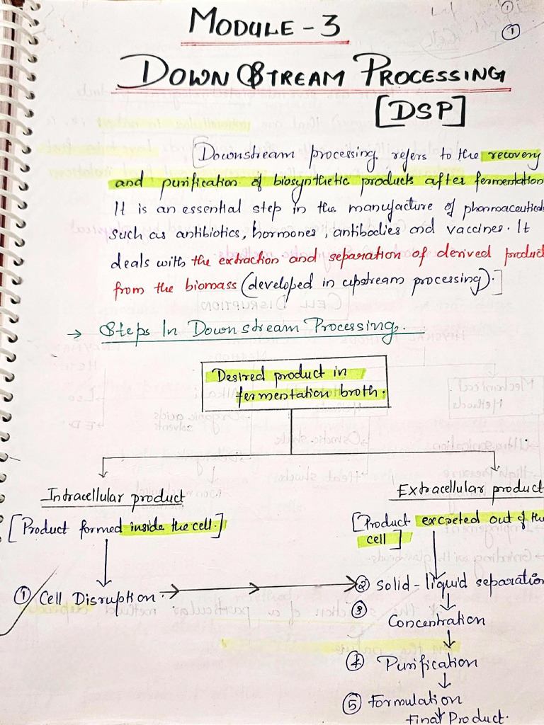 Downstream Processing (1) | PDF