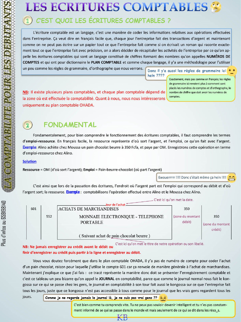 Les Bases Sur Les Ecritures Comptables (KB - Study) | PDF