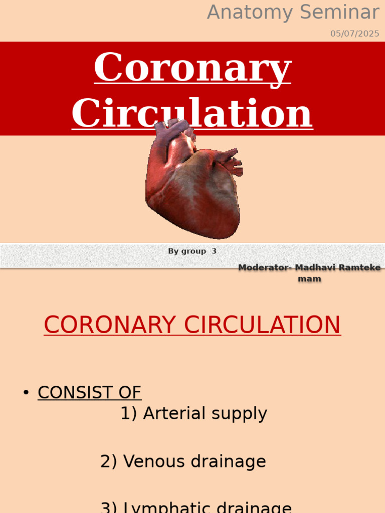 Coronary Circulation Anatomy Overview | PDF | Coronary Circulation | Heart