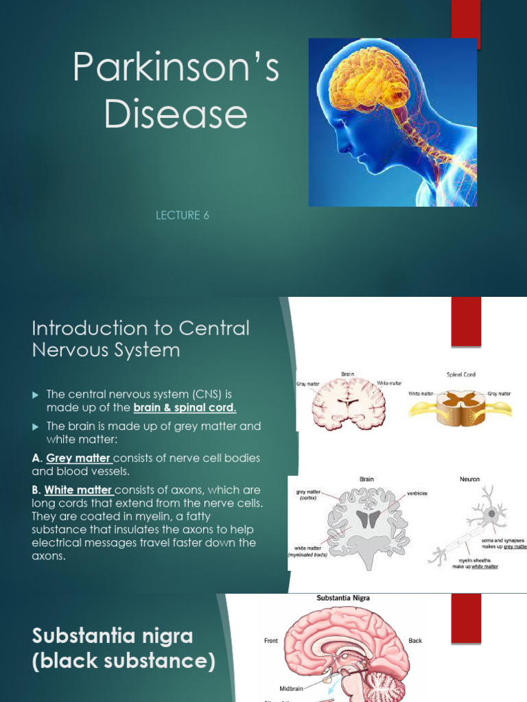 Lecture 6 - Parkinsons Disease | PDF | Parkinson's Disease | Drugs