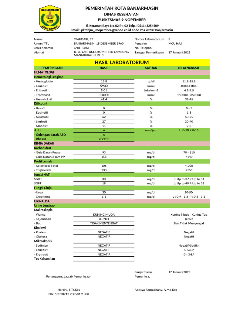 Hasil Pemeriksaan Lab | PDF