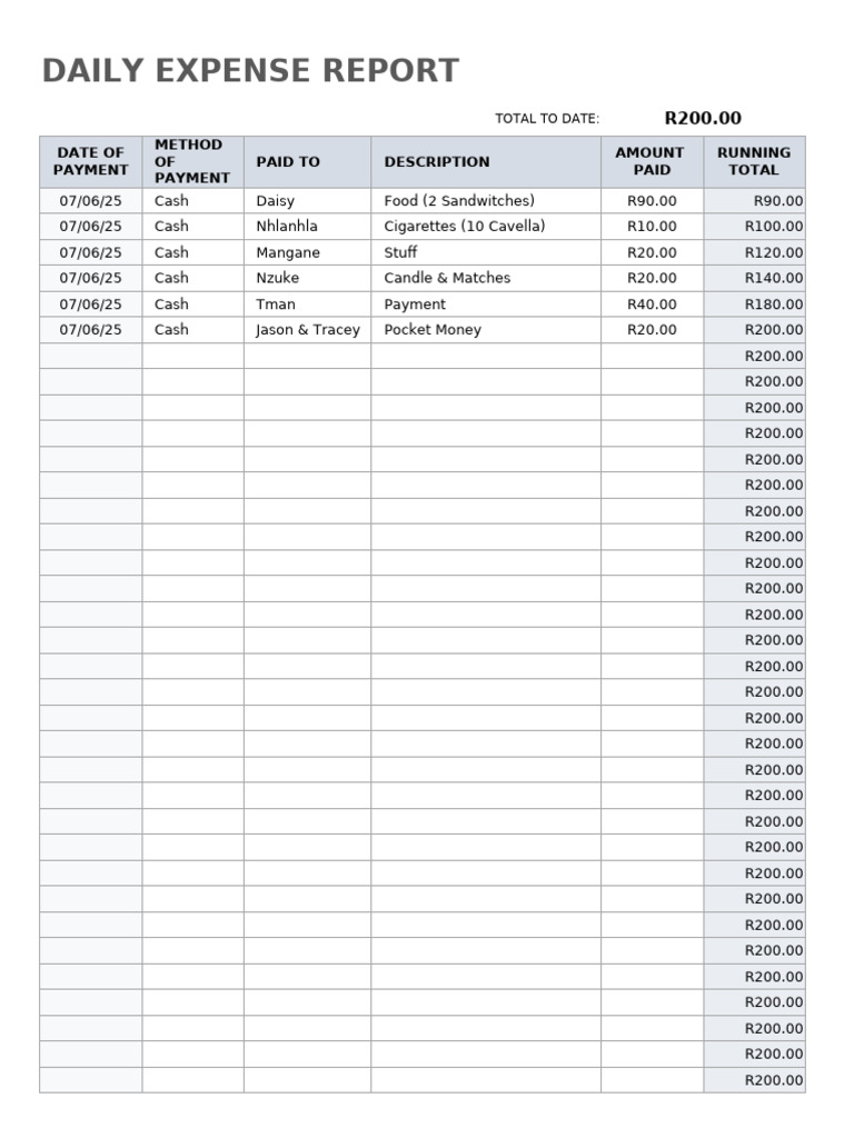IC Small Business Daily Expense Report 11313 | PDF
