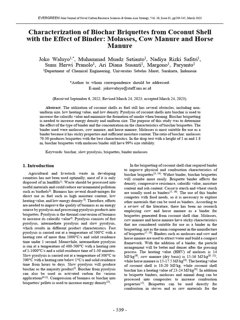 Evergreen_Characterization of Biochar | PDF | Pyrolysis | Fuels