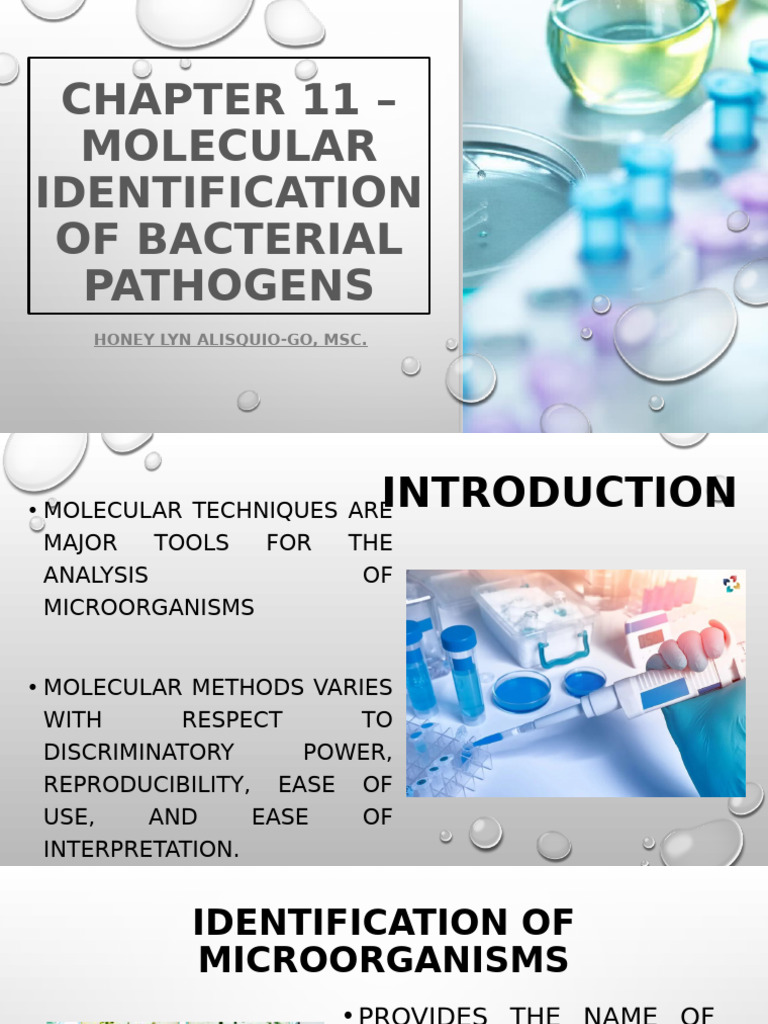 Molecular Identification of Bacterial Pathogens | PDF | Polymerase ...