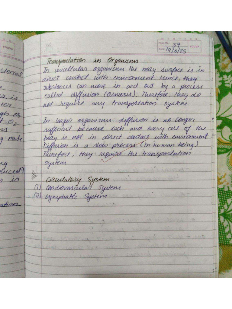 Bio Notes | PDF