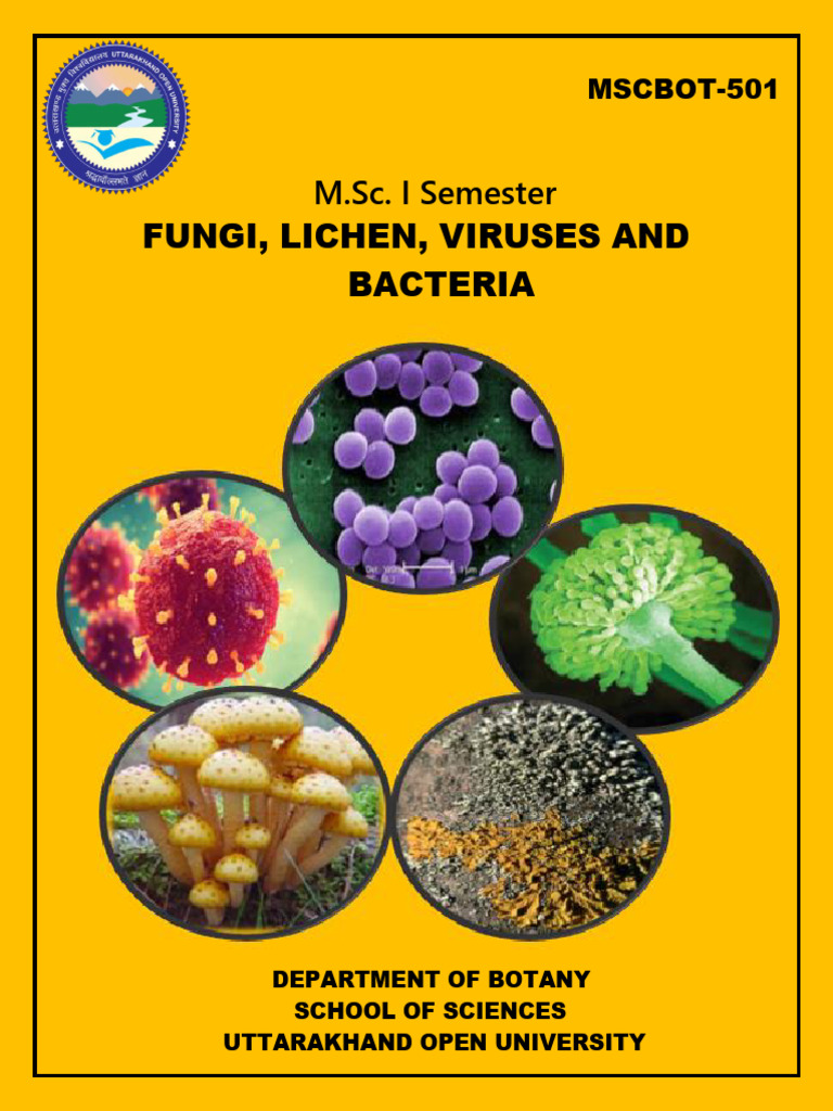 Fungi, Lichen, Viruses & Bacteria Overview | PDF | Fungus | Cytoplasm