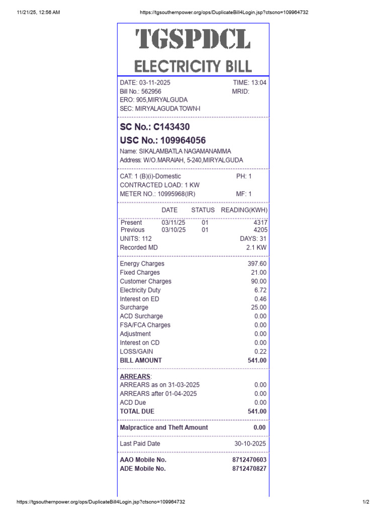Duplicate Electricity Bill Summary | PDF | Sustainable Energy ...