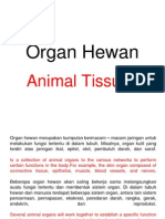 Biologi Animal Tissue