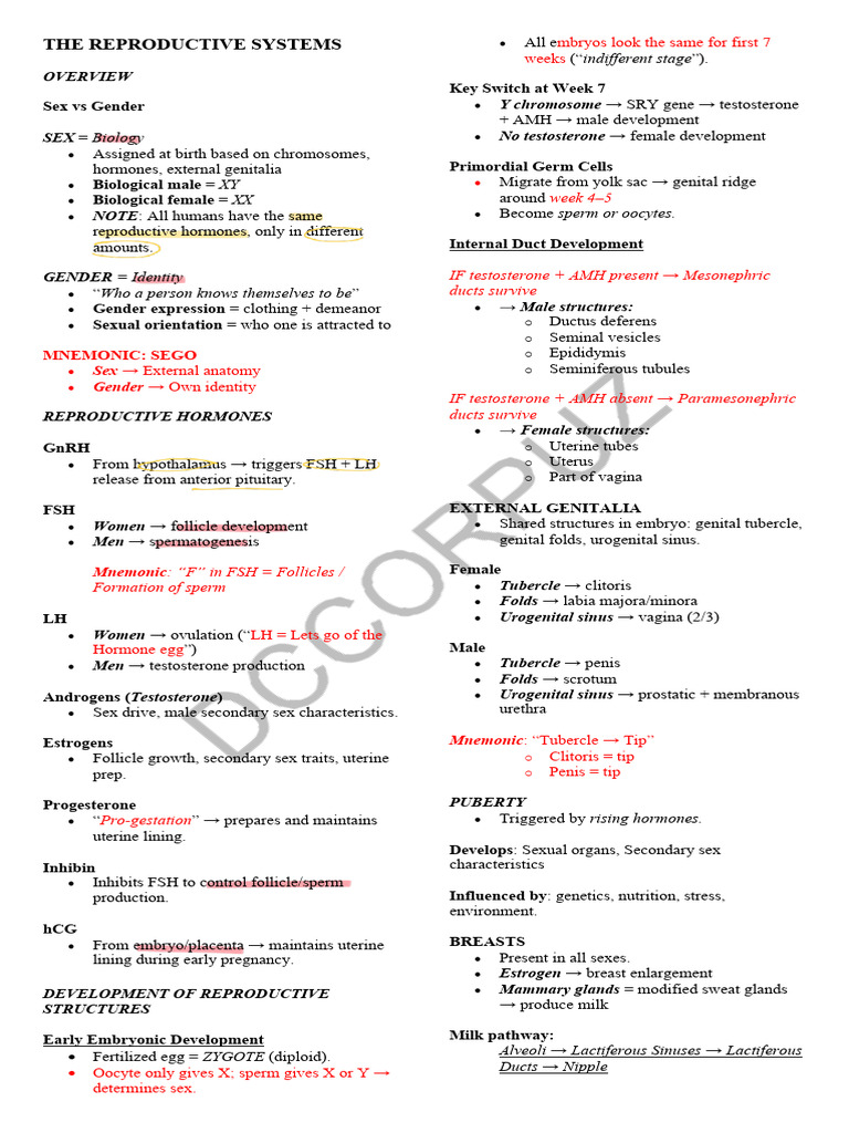 Understanding Human Reproductive Systems | PDF | Menstrual Cycle ...