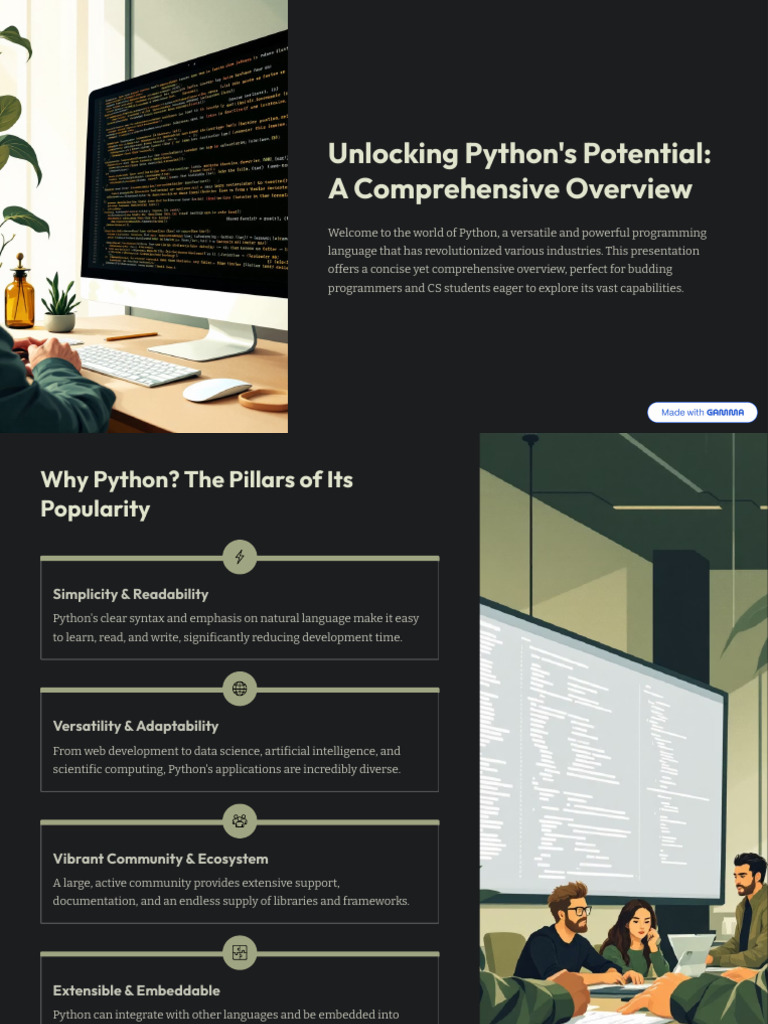 Comprehensive Python Overview Guide | PDF | Python (Programming ...