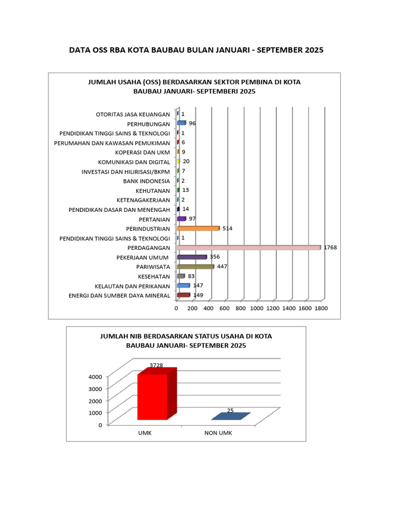 Statistik OSS RBA Baubau 2025 | PDF