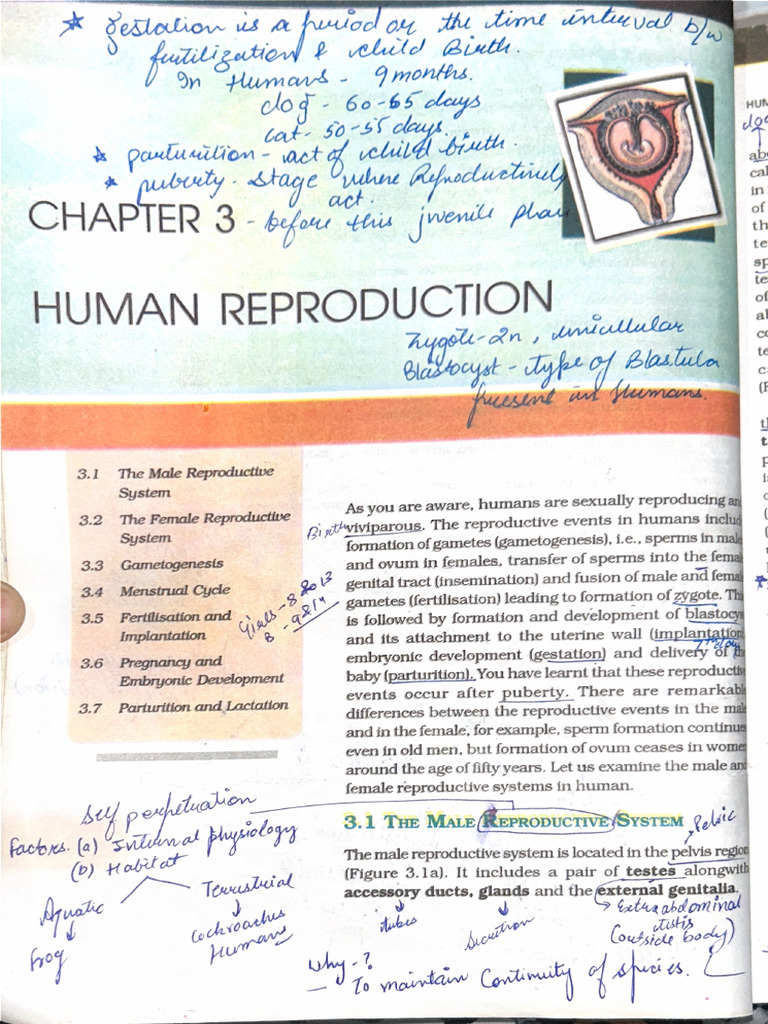 Part-1 Book Human Reproduction | PDF
