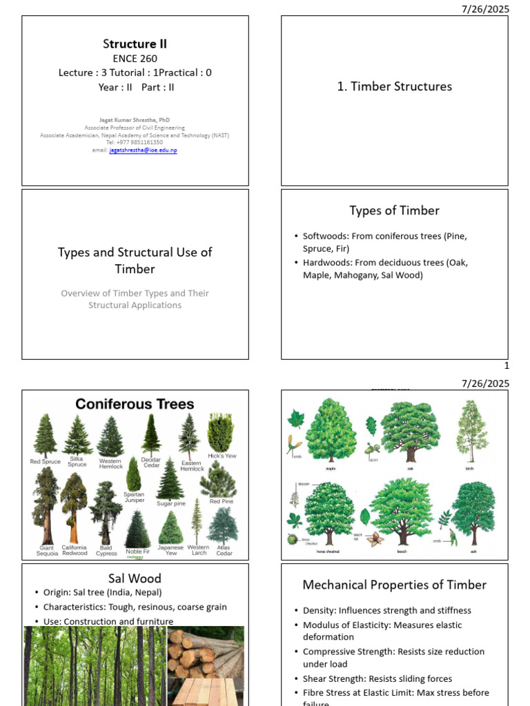 Timber Structures: Types and Uses | PDF | Construction | Welding