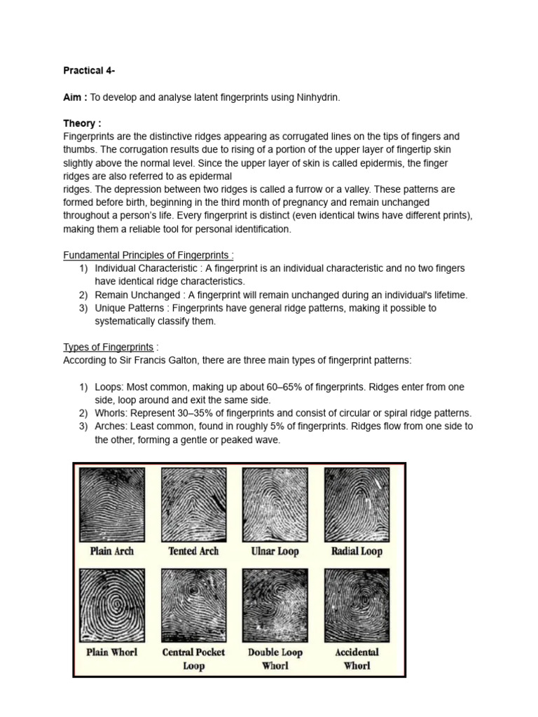 Developing Latent Fingerprints with Ninhydrin | PDF | Fingerprint ...