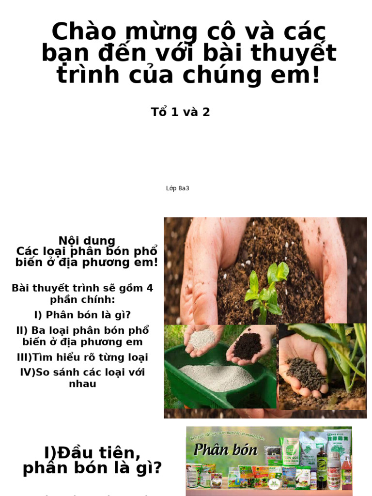Chào mừng cô và các bạn đến với bài thuyết trình của chúng em! | PDF