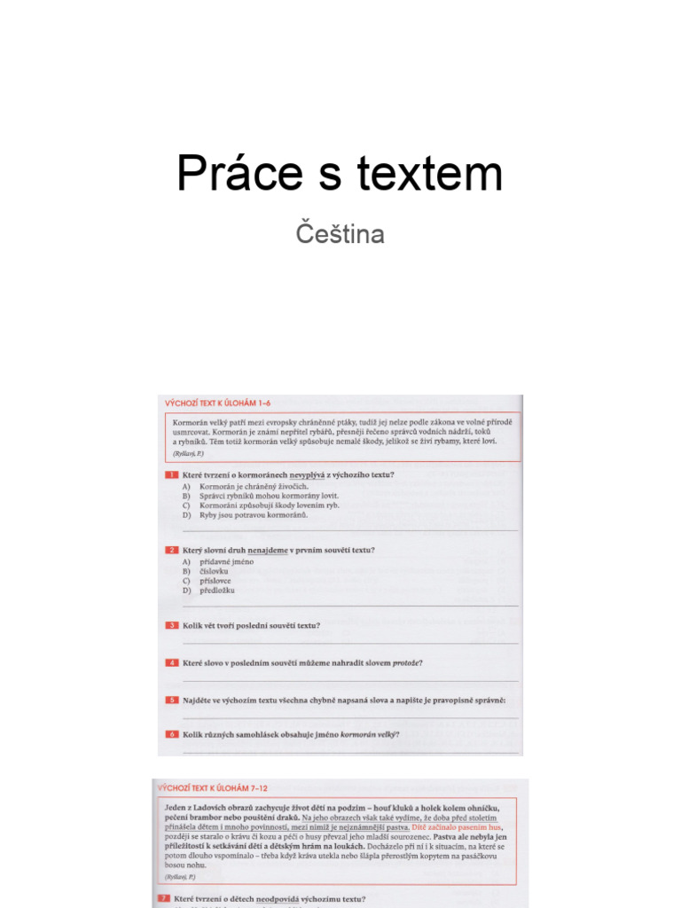 Práce S Textem | PDF