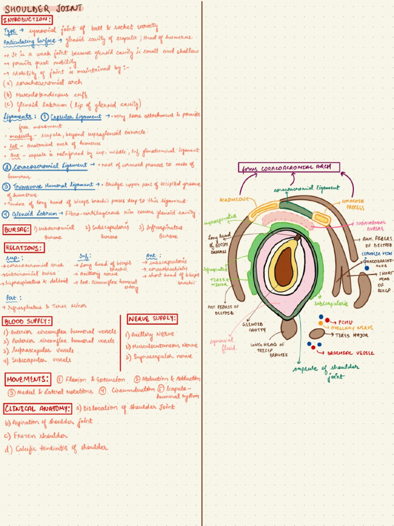 BDC Notes-8 | PDF