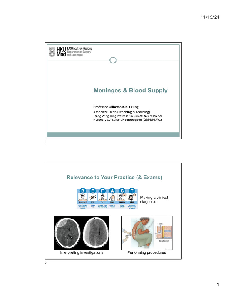 Meninges and Brain Blood Supply Overview | PDF | Cerebrospinal Fluid | Vein