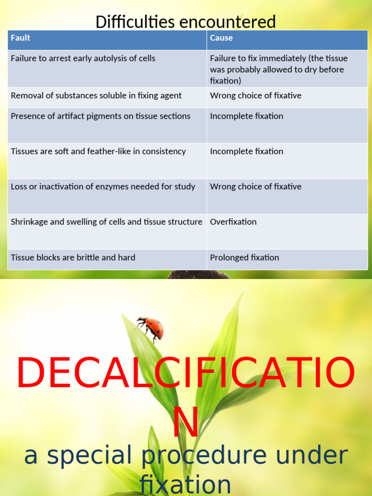 Decalcification Techniques for Tissue Samples | PDF | Fixation ...
