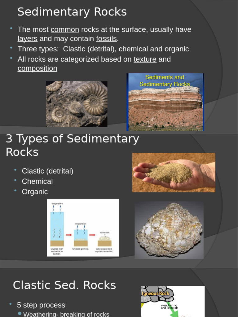 Types of Sedimentary Rocks Explained | PDF