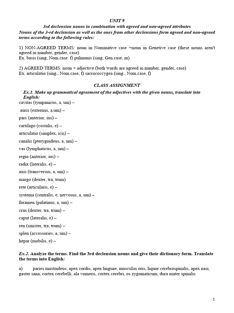 3rd Declension Nouns & Muscle Names | PDF | Thumb | Grammatical Gender