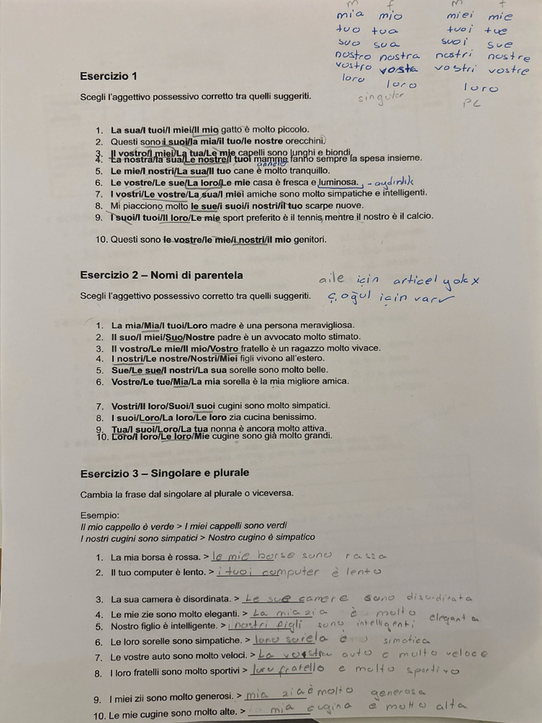 Italiano Compito | PDF