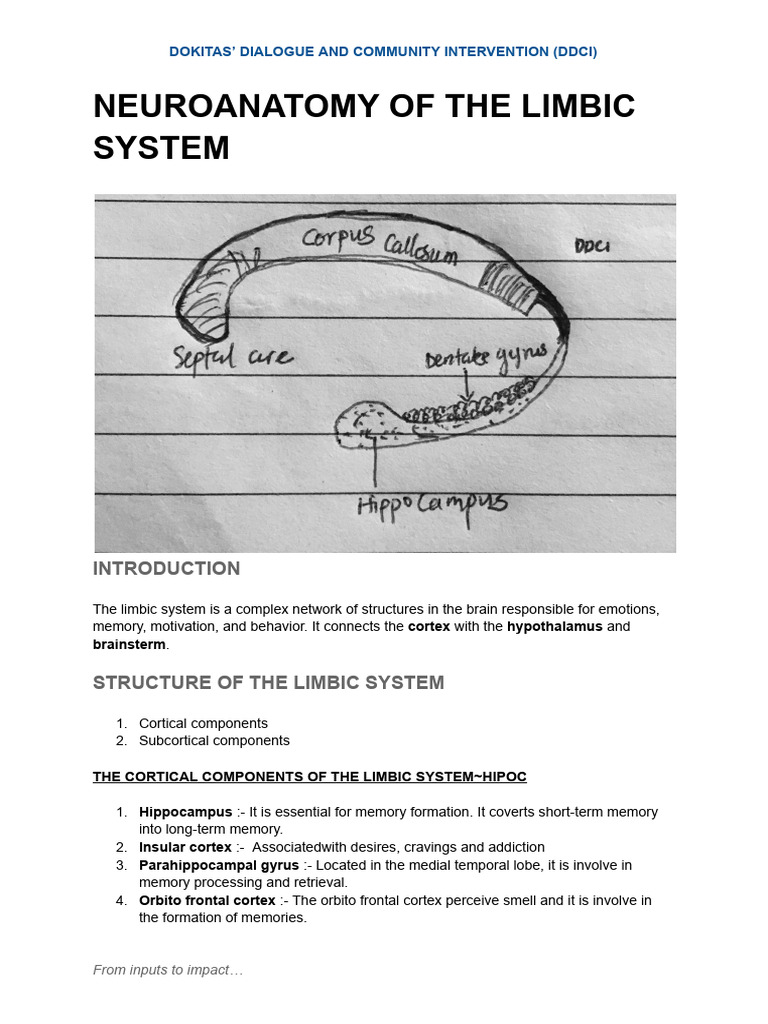Limbic System Neuroanatomy Overview | PDF | Limbic System | Cerebral Cortex