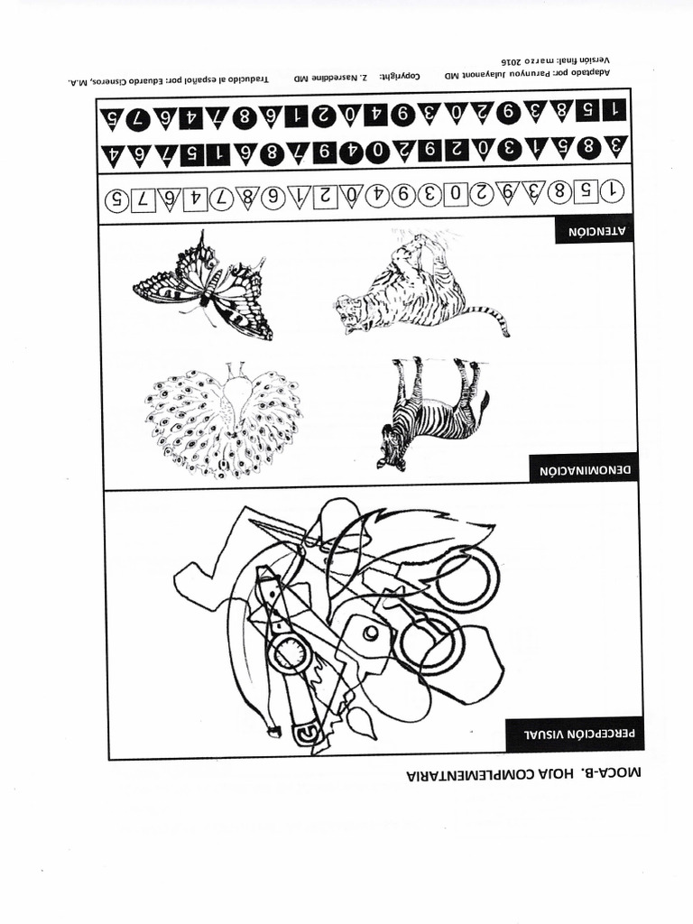 Moca 2 | PDF