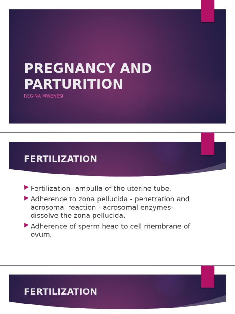 Pregnancy, Fertilization, and Implantation Guide | PDF | Placenta | Uterus