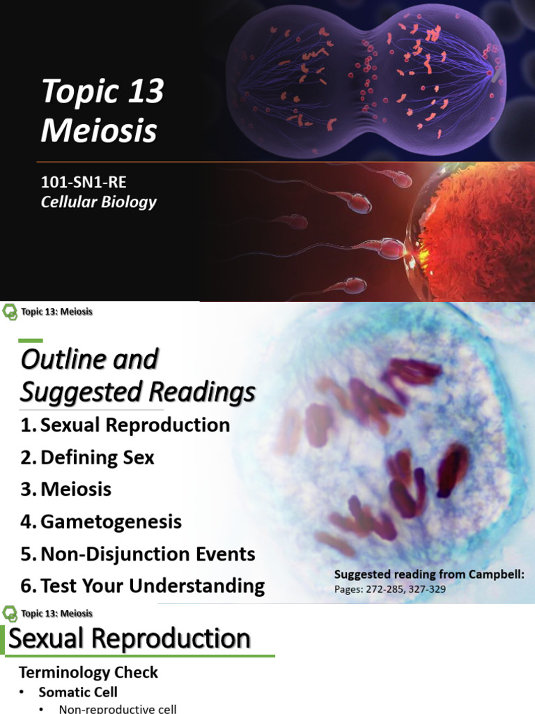 Understanding Meiosis and Sexual Reproduction | PDF | Meiosis | Sex