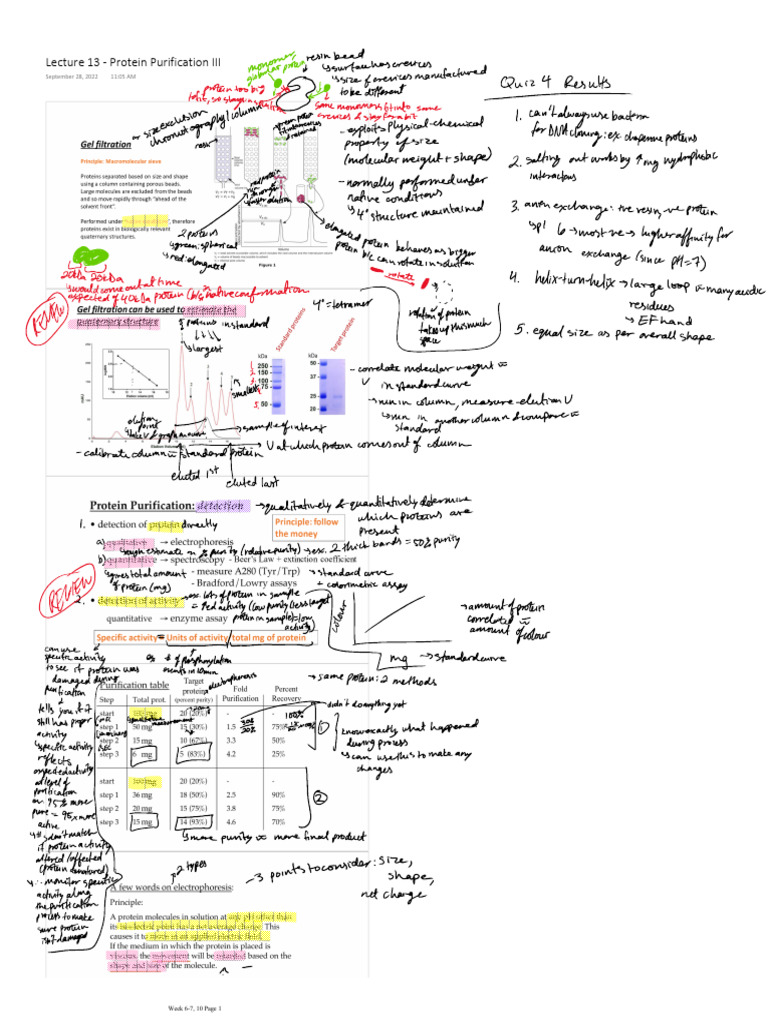 Biochemistry 3381 Lecture 13 Notes | PDF