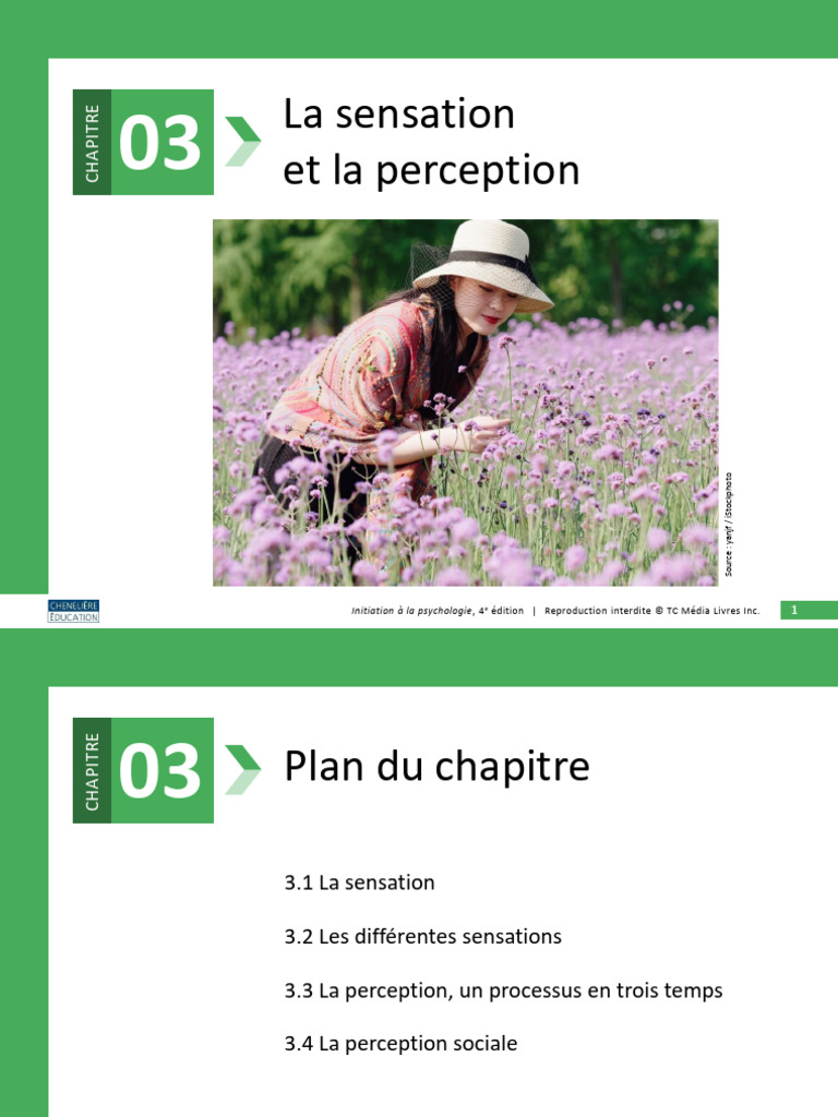Sensation et perception en psychologie | PDF | la perception | Sens ...