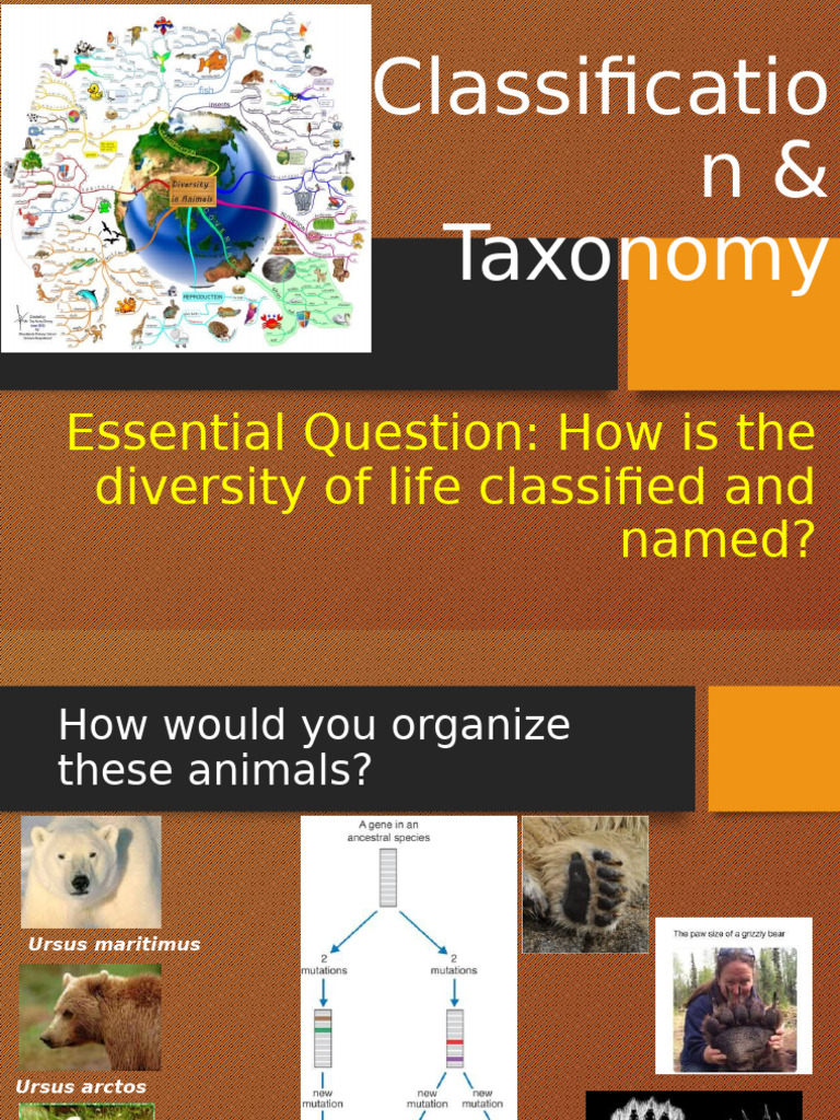 Understanding Classification and Taxonomy | PDF | Taxonomy (Biology ...
