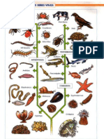 Atlas de Zoologia Santillana
